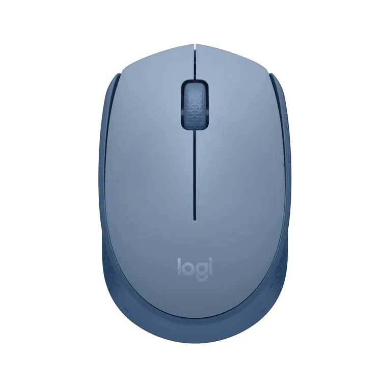 Logitech Mouse M170